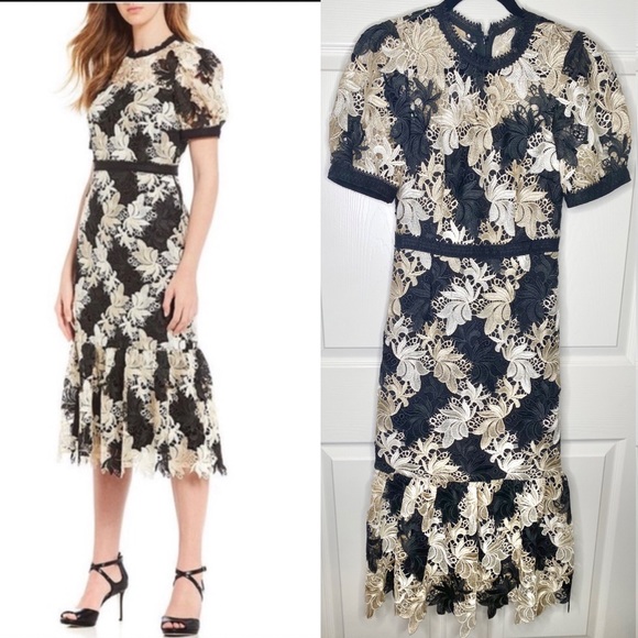 ANTONIO MELANI Dresses & Skirts - Antonio Melani Tessa Lace Midi Dress in Moonlit Botanical